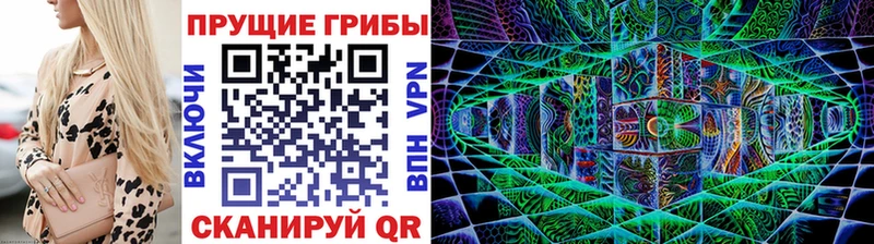 Псилоцибиновые грибы Psilocybe  Динская 